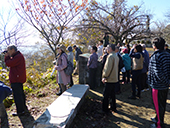 ����߂����R��Ղɂ�