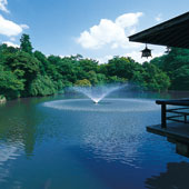 写真:高岡古城公園イメージ